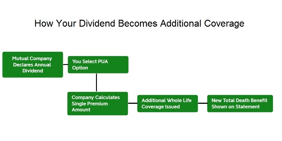 which-dividend-option-increases-death-benefit